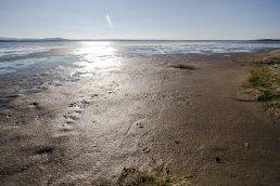 Low tide at Findhorn Basin