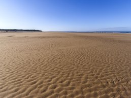 Rippled sands at Findhorn Beach